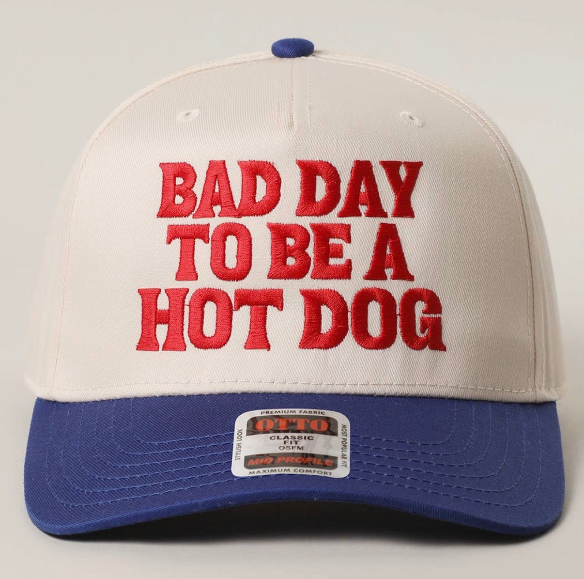 Bad Day to Be a Hotdog Hat