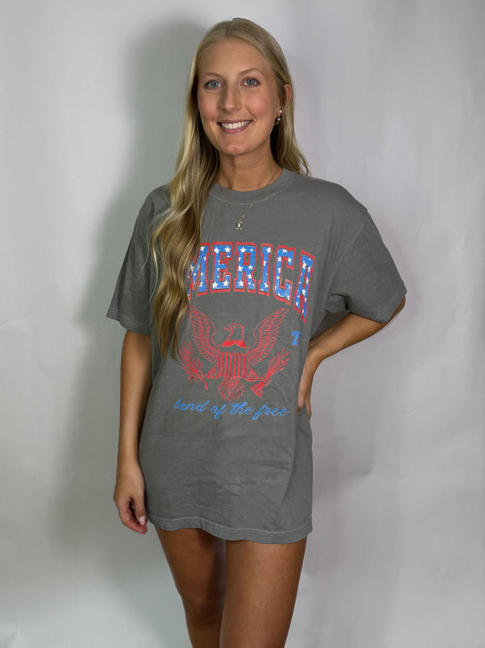 America Gray Graphic Tee