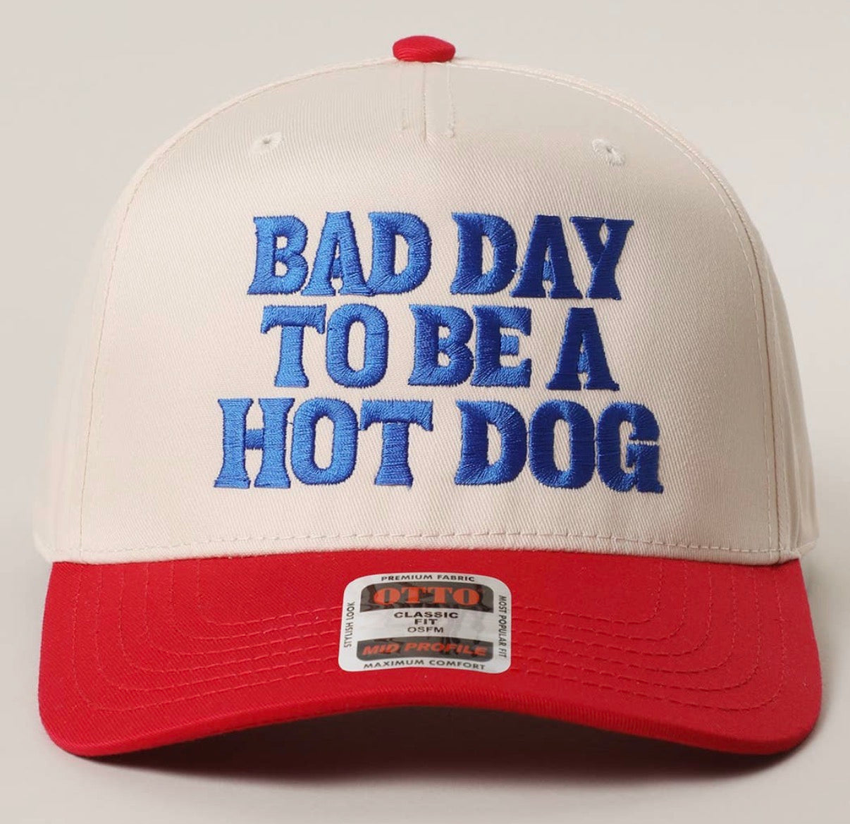 Bad Day to Be a Hotdog Hat